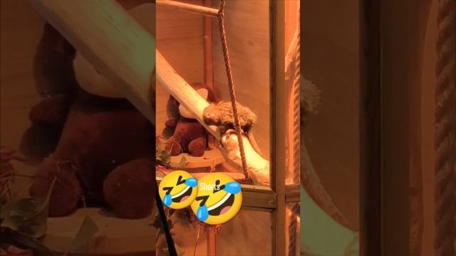 Храпела как лошадь 😂