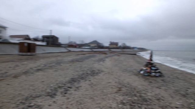 Азовское море в январе.  "МОРСКУЮ ЁЛКУУвидели", очень трогательно!