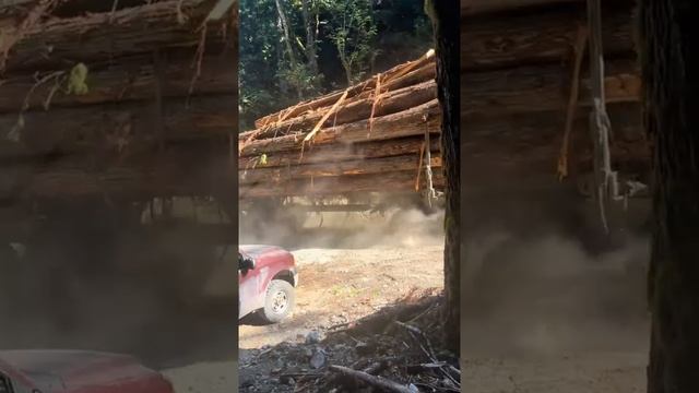Серьёзный конкурент Камазу