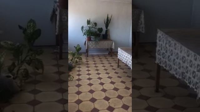1000068777.mp4