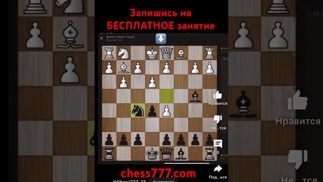 Шахматная задача