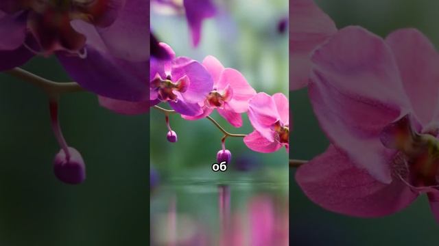 Как находить вдохновение в повседневной жизни