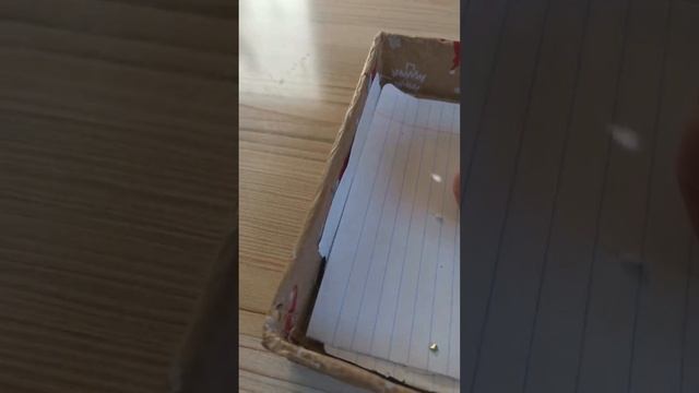 Хомячок