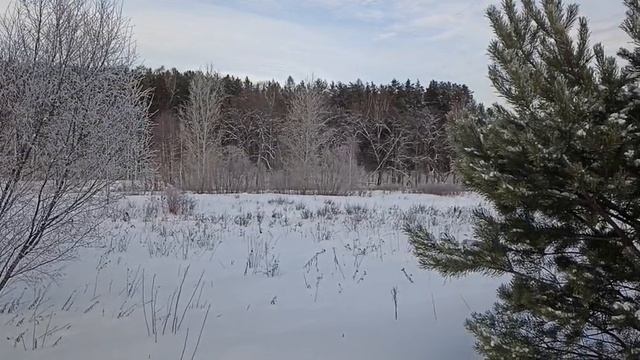 Зима.