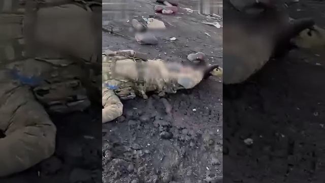 🔥 Удар по группе оккупантов в Курской области

Последствия удара российского FPV-дрона по колонне о