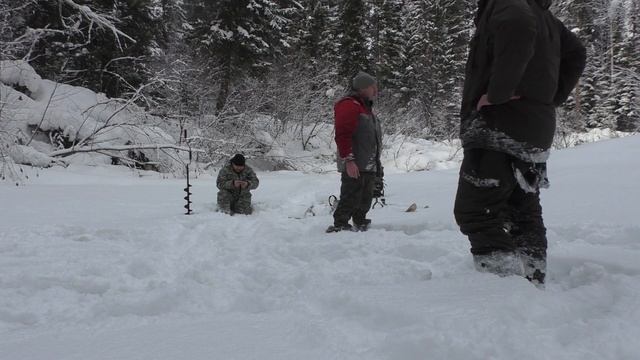 Рыбалка на таежной речушке. ТАЕЖНЫЙ ХАРИУС И ЛЕНОК, ОТЛИЧНЫЙ ОТДЫХ В ВЫХОДНОЙ