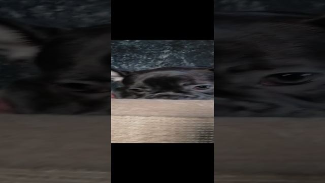 VID20250104092752.mp4