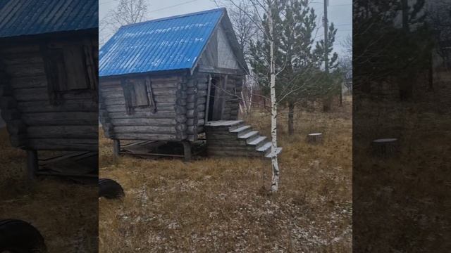 26 НОЯбРЯ 2024г. Силикатный