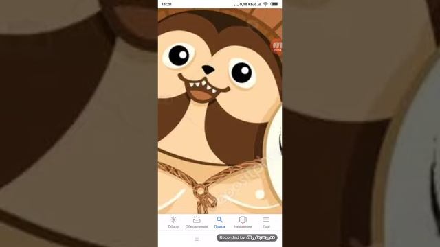 енот ТАНУКИ большой животик