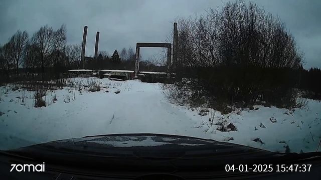 Прогулка по лесам и полям. 04.01.2025