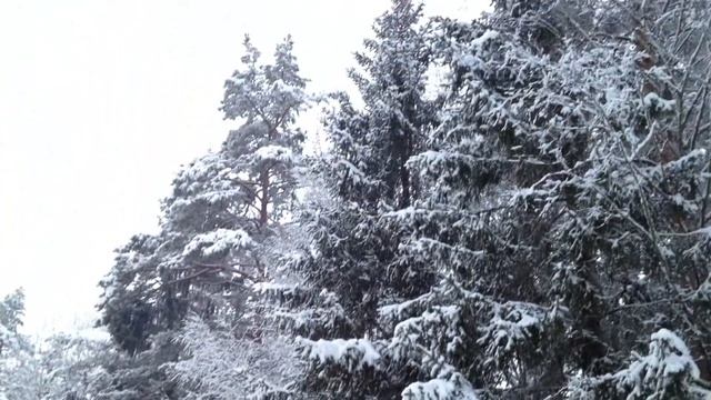 Зимние шашлыки 2
