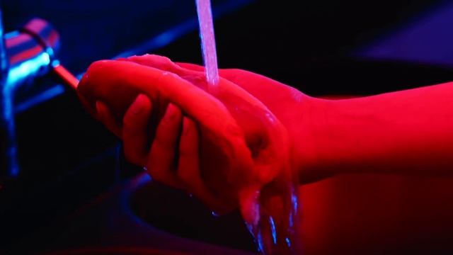 HOT DOG | A Short Film