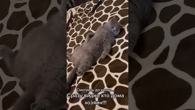 Смотреть до конца