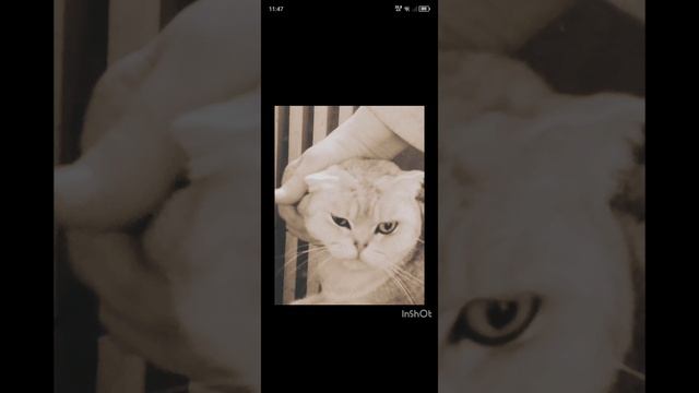 кто не подпишется тот ШМУНЯ!!