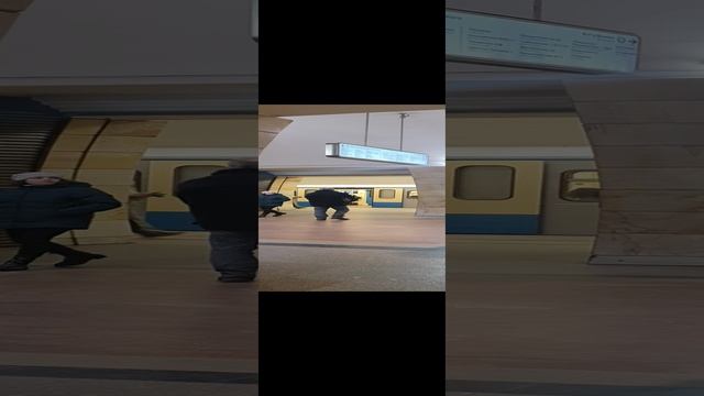 Авария метро серпуховская произошла случилось дверь вагона метрополитена