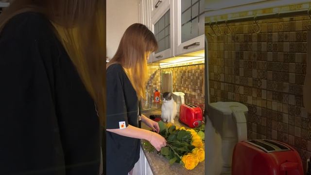 Рецепт хорошего настроения