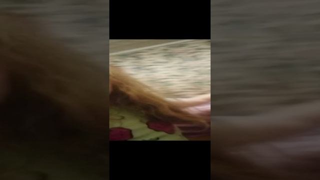 VID_20250105_073431.mp4