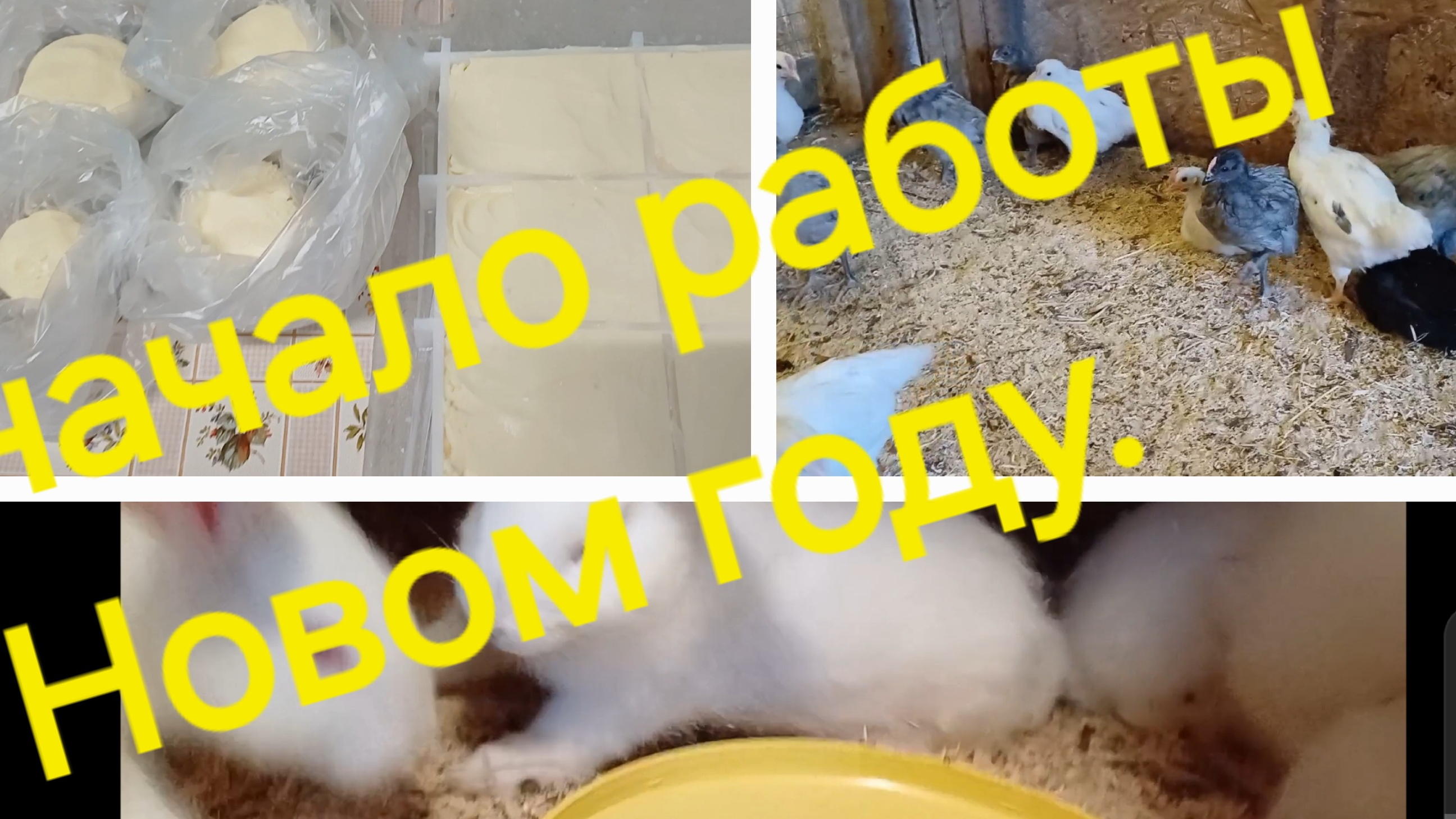 начало работ в новом году