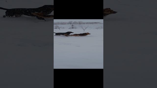 05 01 25 0к🙃