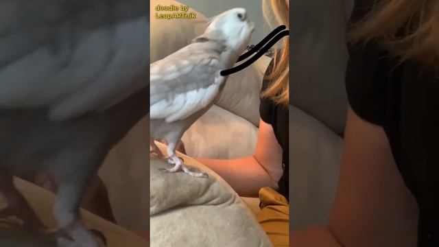 "ПЕРНАТЫЙ РОМАНТИК!" 💘🐦