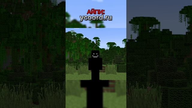 Анархический сервер YCOORD