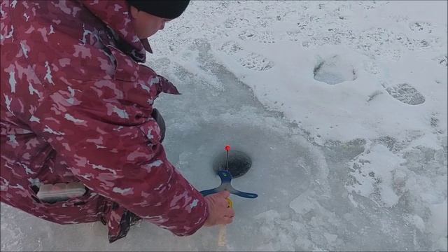 Работают приманки с морковными тонами. Клёвое место, Лосиный остров, верхний водоём.