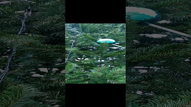 Саратов ёлка на набережной Космонавтов .mp4