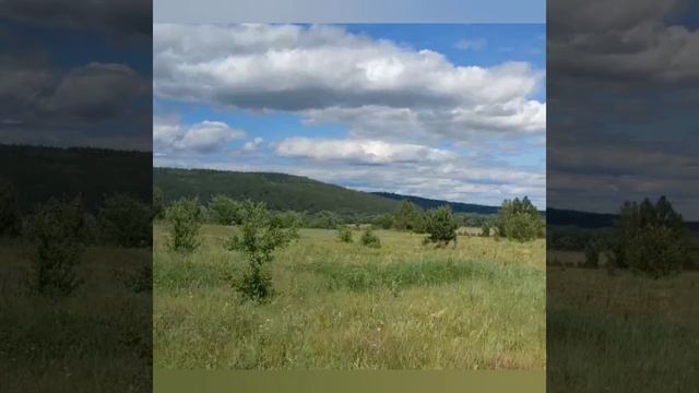#липовка #родина #природа.mp4