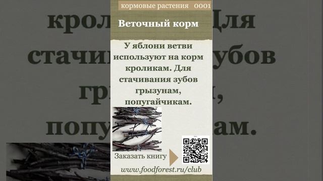 Афанасьев_Кормовые растения яблоня