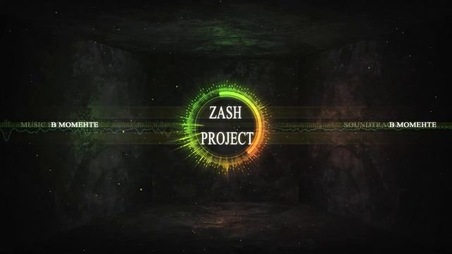 ZasH Project  В моменте