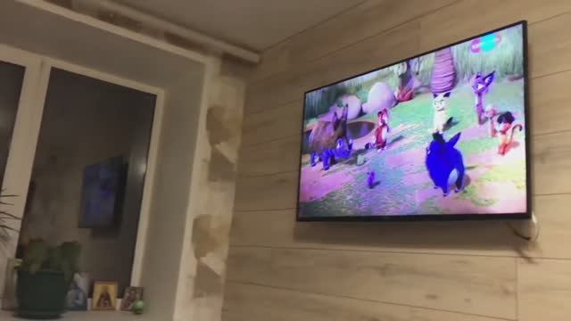 Инструкция-ламинат на стене крепление профиль металический.