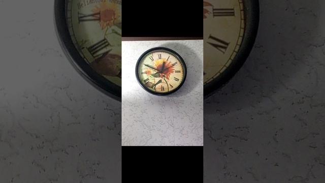 1000018093.mp4