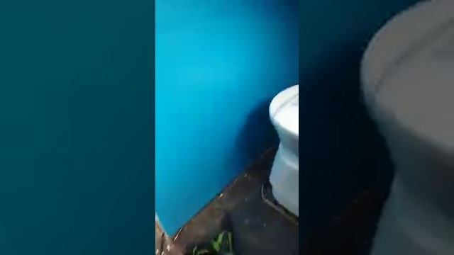 биотуалет в прицепе дача