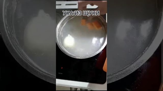 УХА ИЗ ЩУКИ/shorts