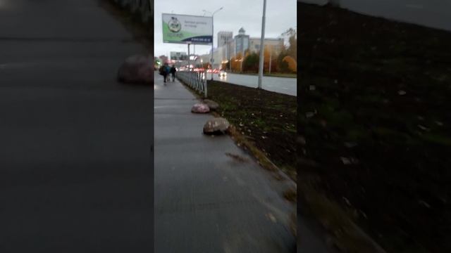 Переход ул.югоЗападная