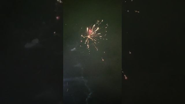 Новый год 2025