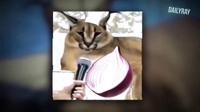клип пельмени