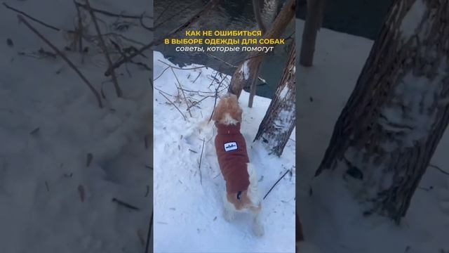 ПОКУПАЕМ С УМОМ❗️