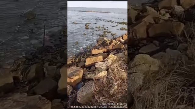 1000007445.mp4