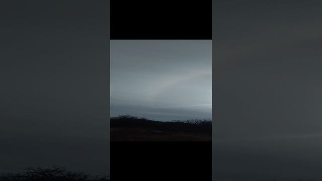 Научное и околонаучное.