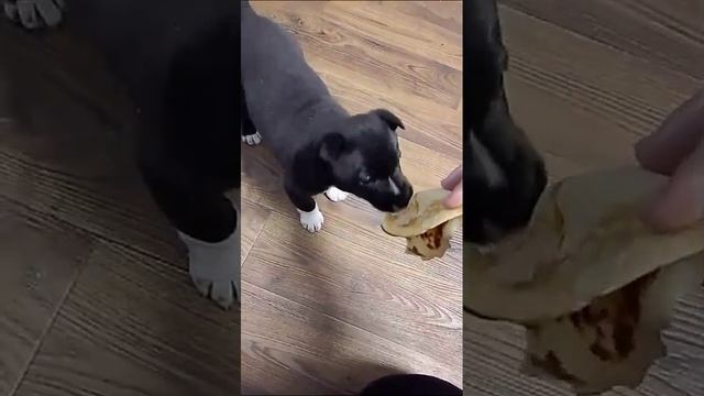 1000014533.mp4