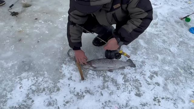 05.01.25 г. доп запуск РК Волна.