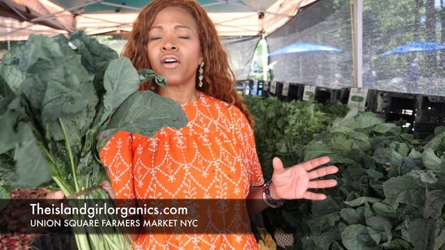 Different Types of kale