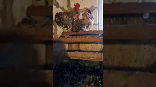 Сила персонажей