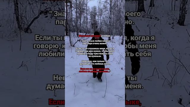 бум.mp4