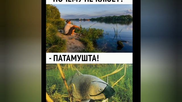 Прикол