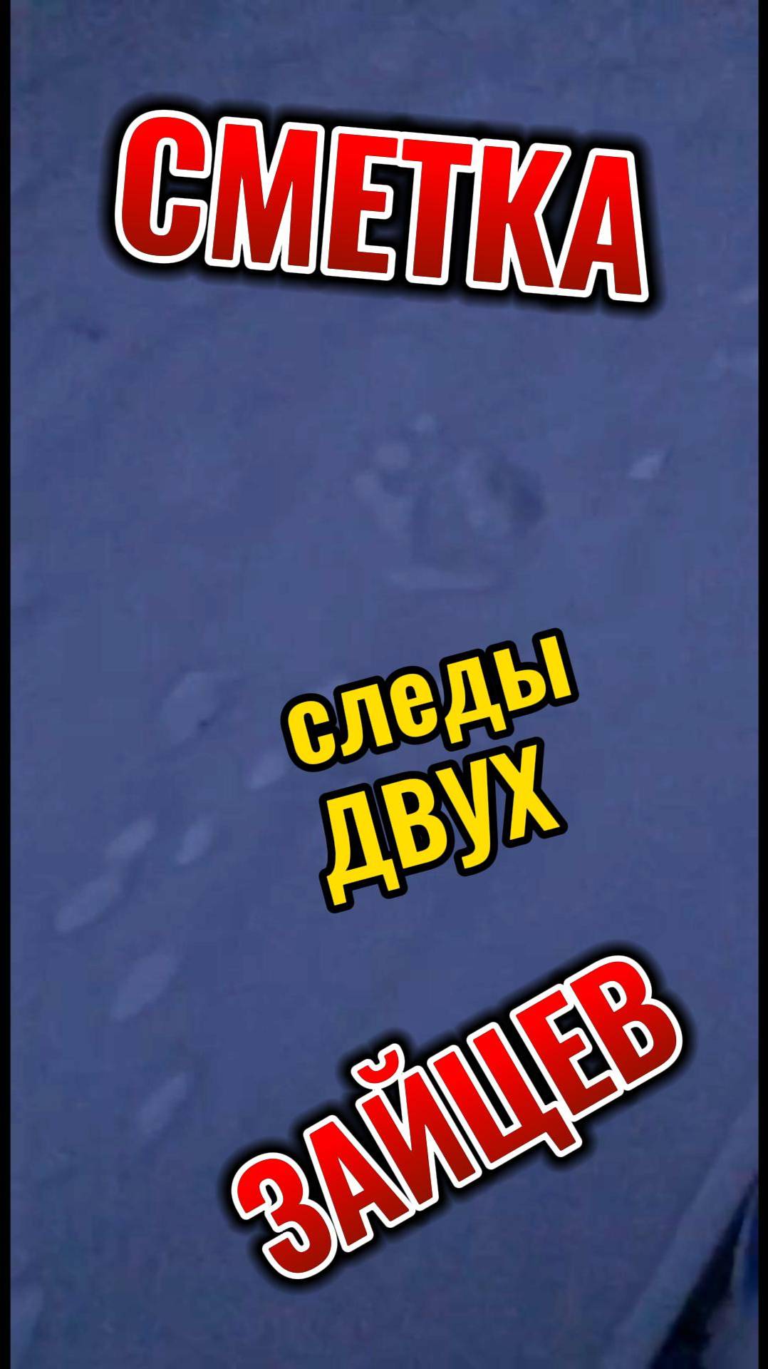 Сметка - следы двух зайцев