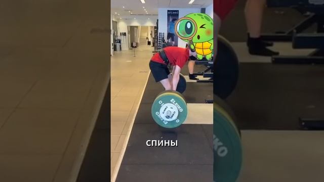 спина в тяге