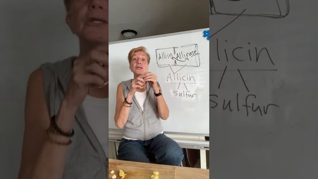 Recipes from the Herbal Apothecary Livestream! Citrus & Garlic Cold Remedy
