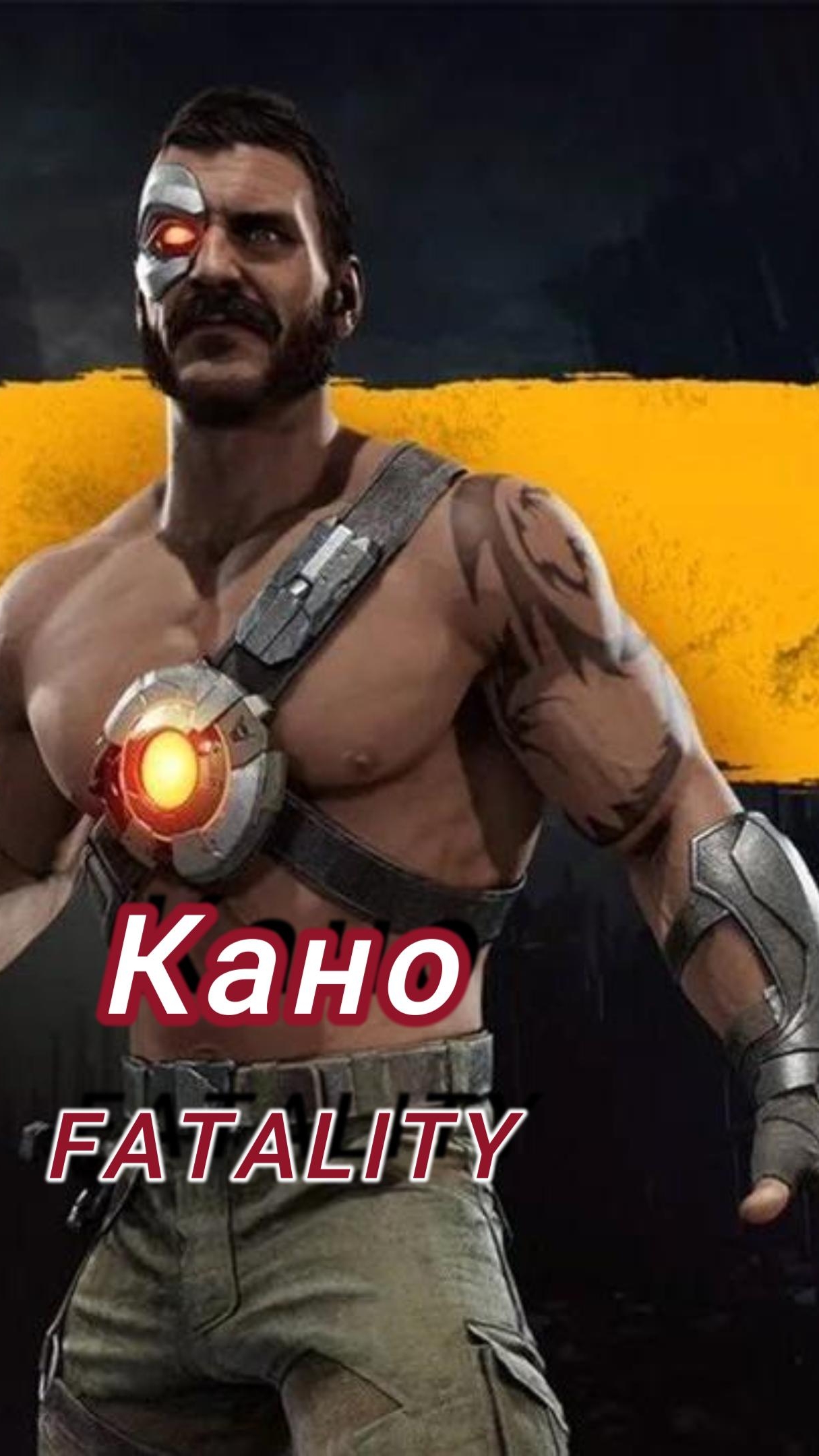 MK11-FATALITY Кано
